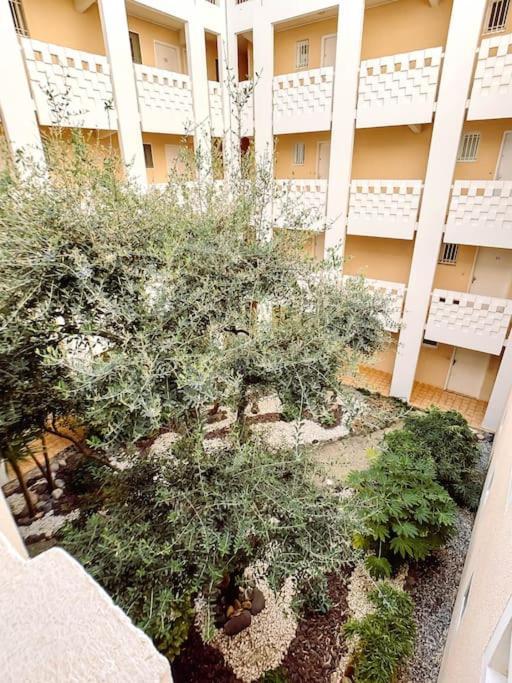 T3 Vue Exceptionnelle Apartment *